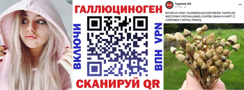 Галлюциногенные грибы Psilocybe  дарнет шоп  Чебаркуль 