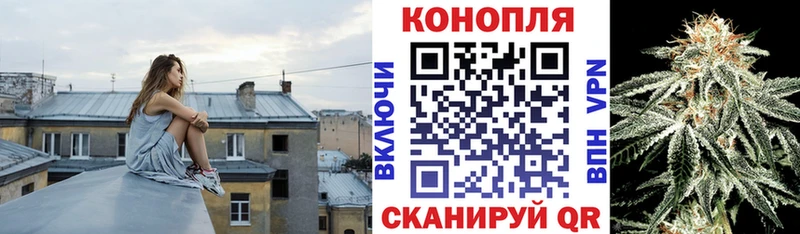 магазин продажи наркотиков  Чебаркуль  Канабис SATIVA & INDICA 